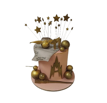 Торт заказной Гарри Поттер №1